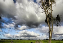 32岁妖卫4年4500万提前续约 季后赛场均12+3+5.