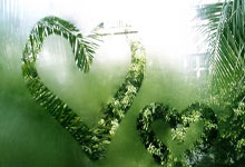 欧洲足球联赛: 英格兰曼彻斯特联队击败西班牙皇家社会.